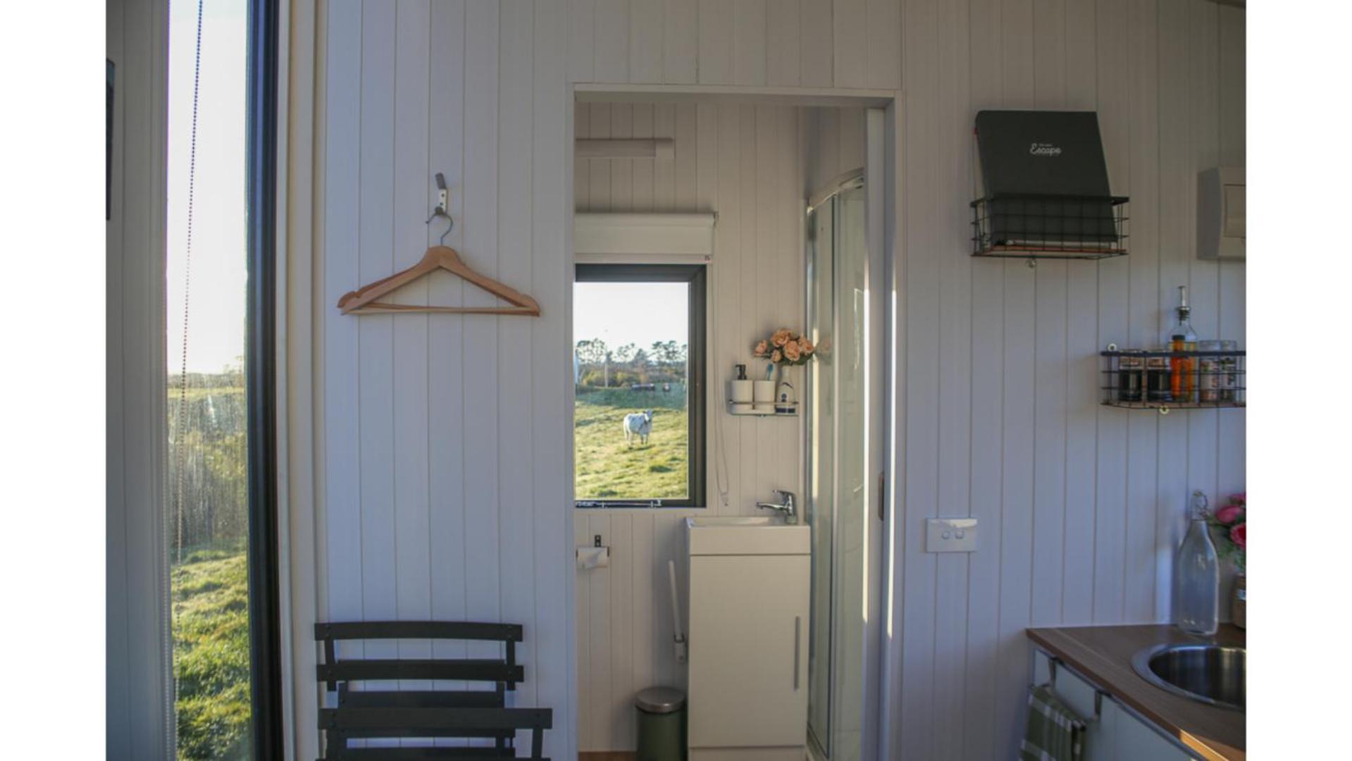 Villa Taranaki Creekside Kea By Tiny Away à Stratford Extérieur photo