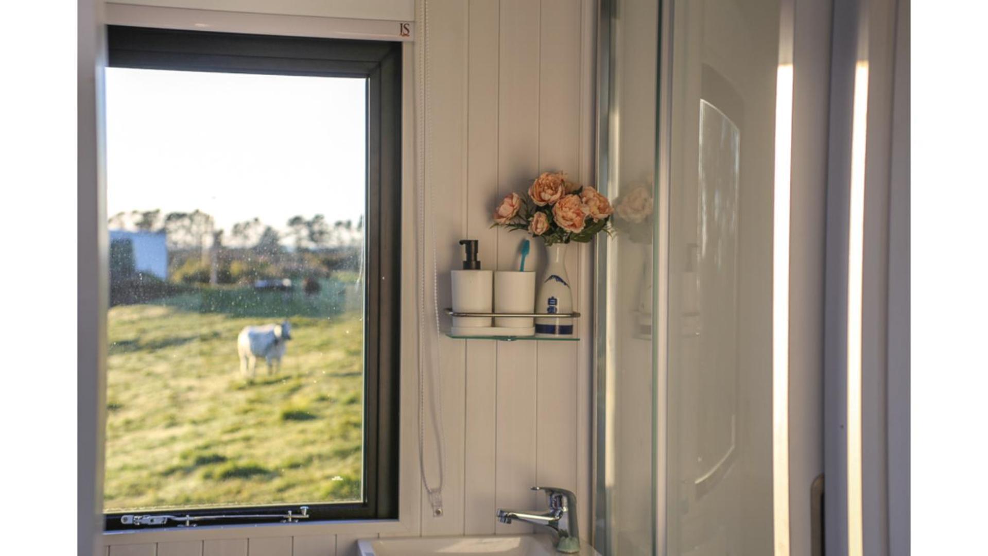 Villa Taranaki Creekside Kea By Tiny Away à Stratford Extérieur photo