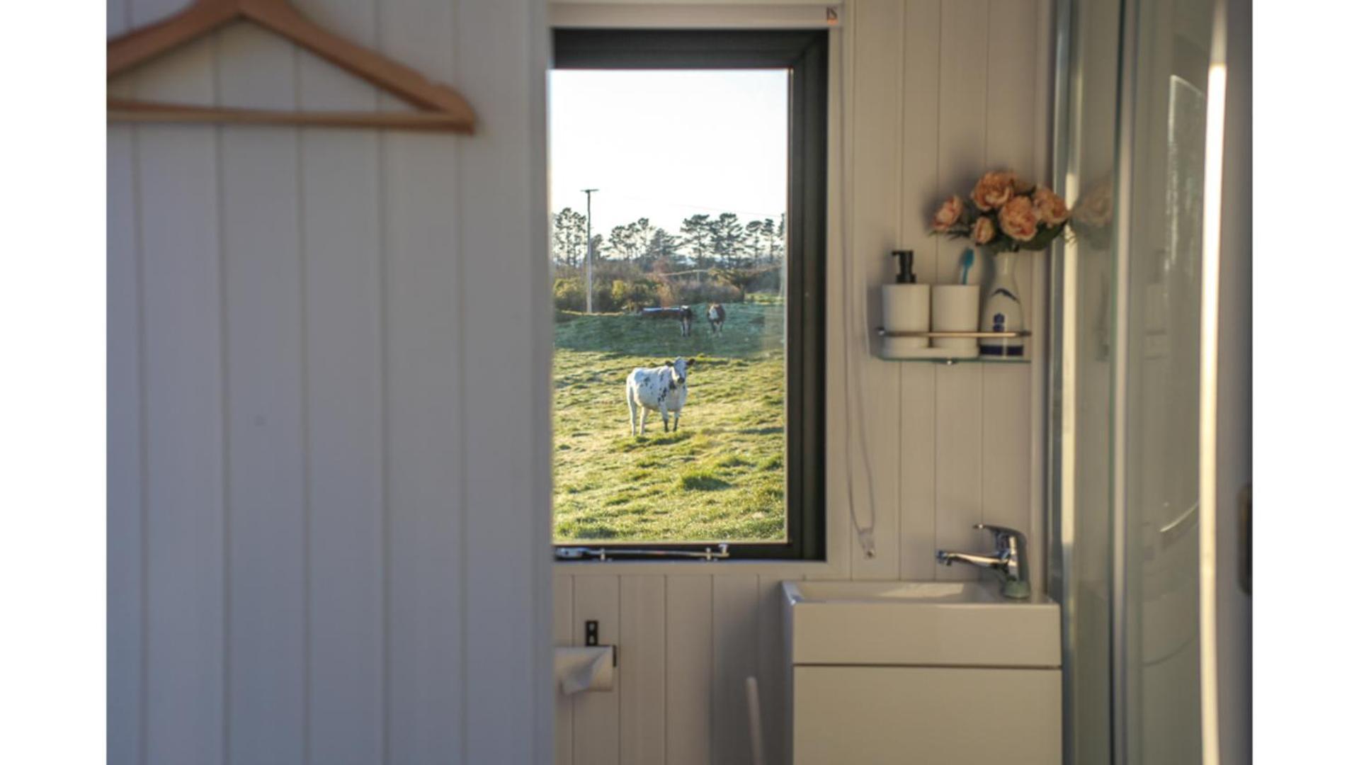 Villa Taranaki Creekside Kea By Tiny Away à Stratford Extérieur photo